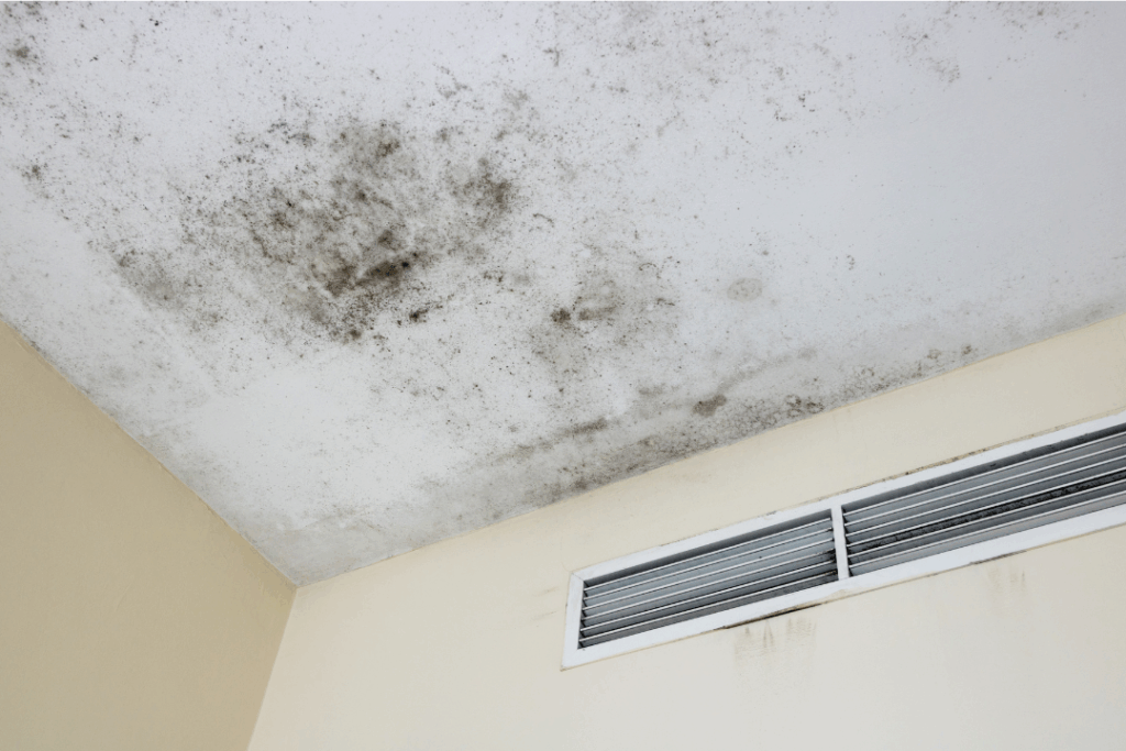 Project Page (4) Can you paint over mold in healthcare facilities?