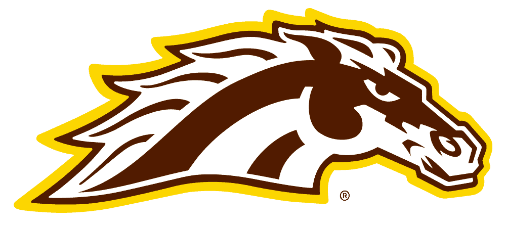 spirit mark full color