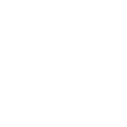 Cleanup-W